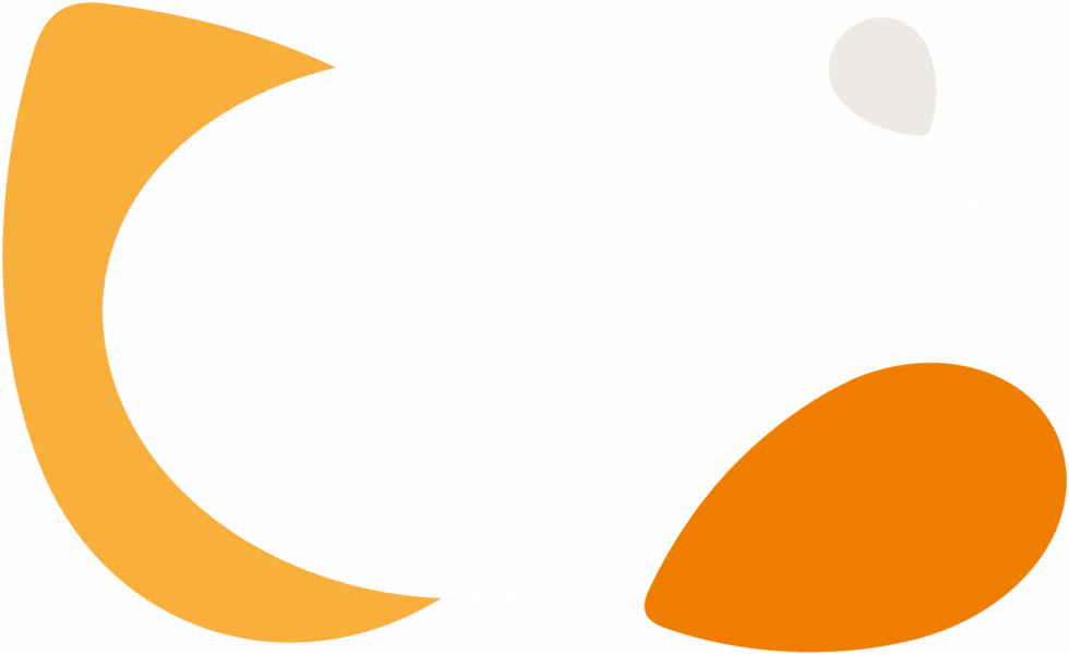 Digital Skills Factory