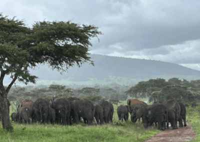 Akagera National Park | RWANDA | Digital Literacy & Financial Literacy Training