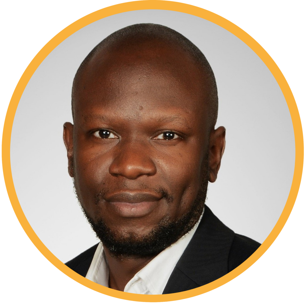 dsf-africa-digital-skills-factory